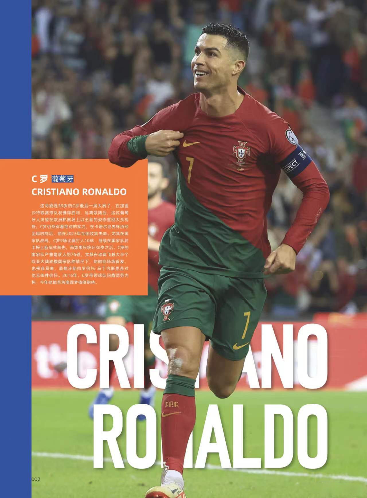 开云体育直播-芬兰足球梦想:欧锦赛前路一片光明